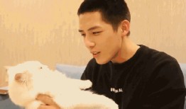 娱乐圈吃瓜王安宇,娱乐圈吃瓜王，揭秘明星幕后故事